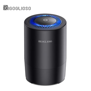 RIGOGLIOSO Air Purifier