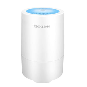 RIGOGLIOSO Air Purifier