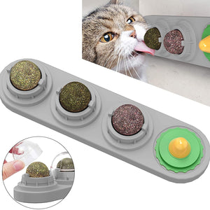 Catnip Ball Toy for Cat Licking