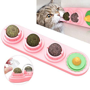 Catnip Ball Toy for Cat Licking