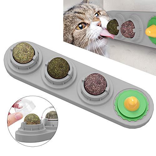 Catnip Ball Toy for Cat Licking